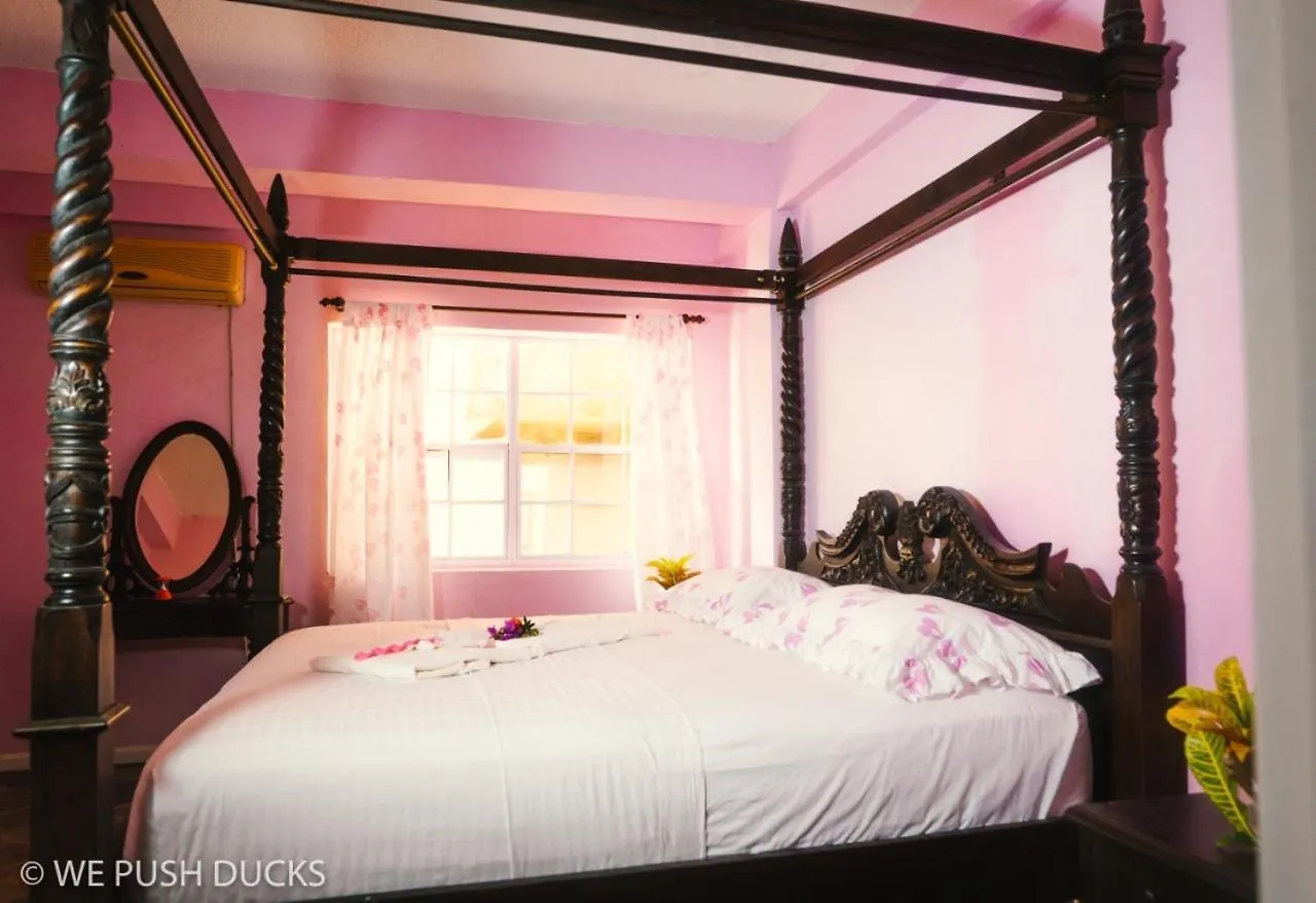 Belle View Apartment Villa - Hibiscus Laborie
